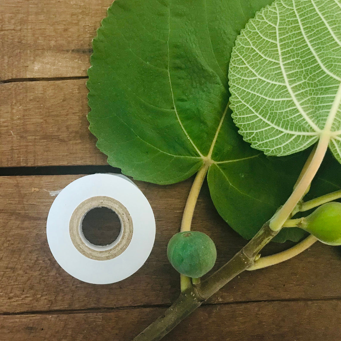 Grafting and Budding film tape
