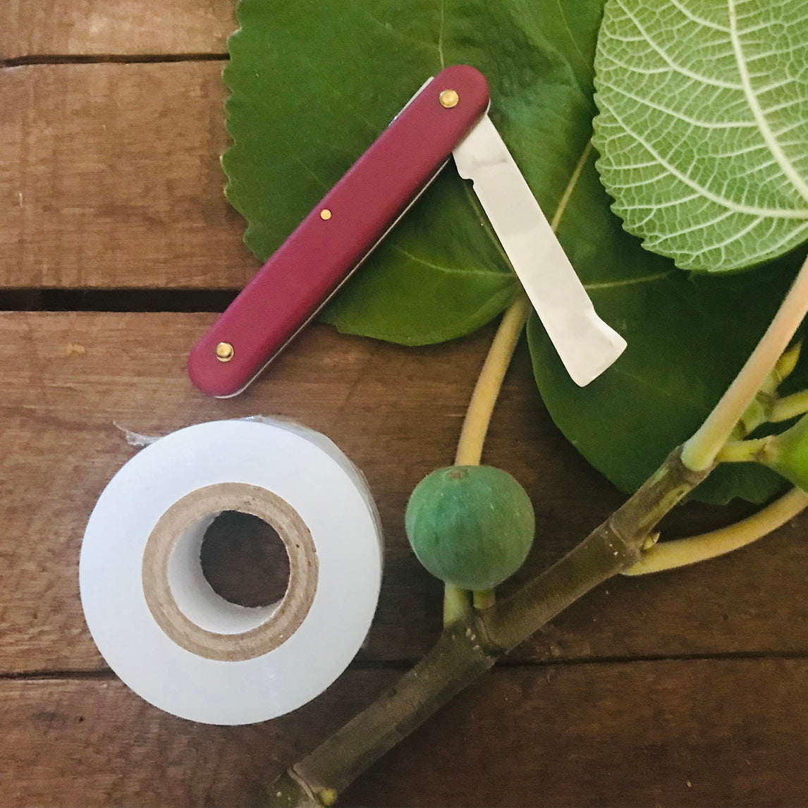 Grafting and Budding Bundle