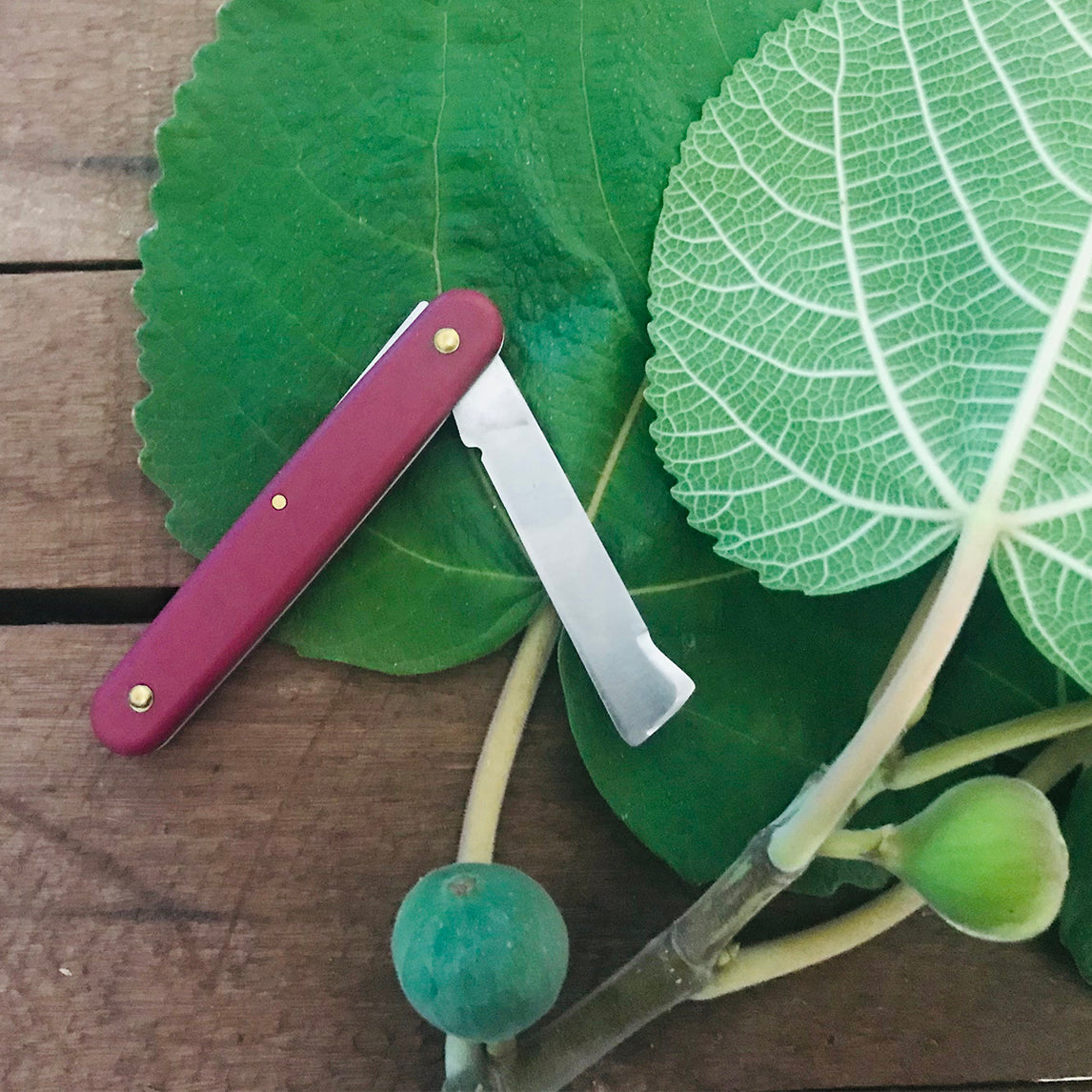 Grafting and Budding Knife