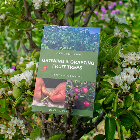 Growing & Grafting Fruit Trees for the Aussie Backyard - by Craig Castree