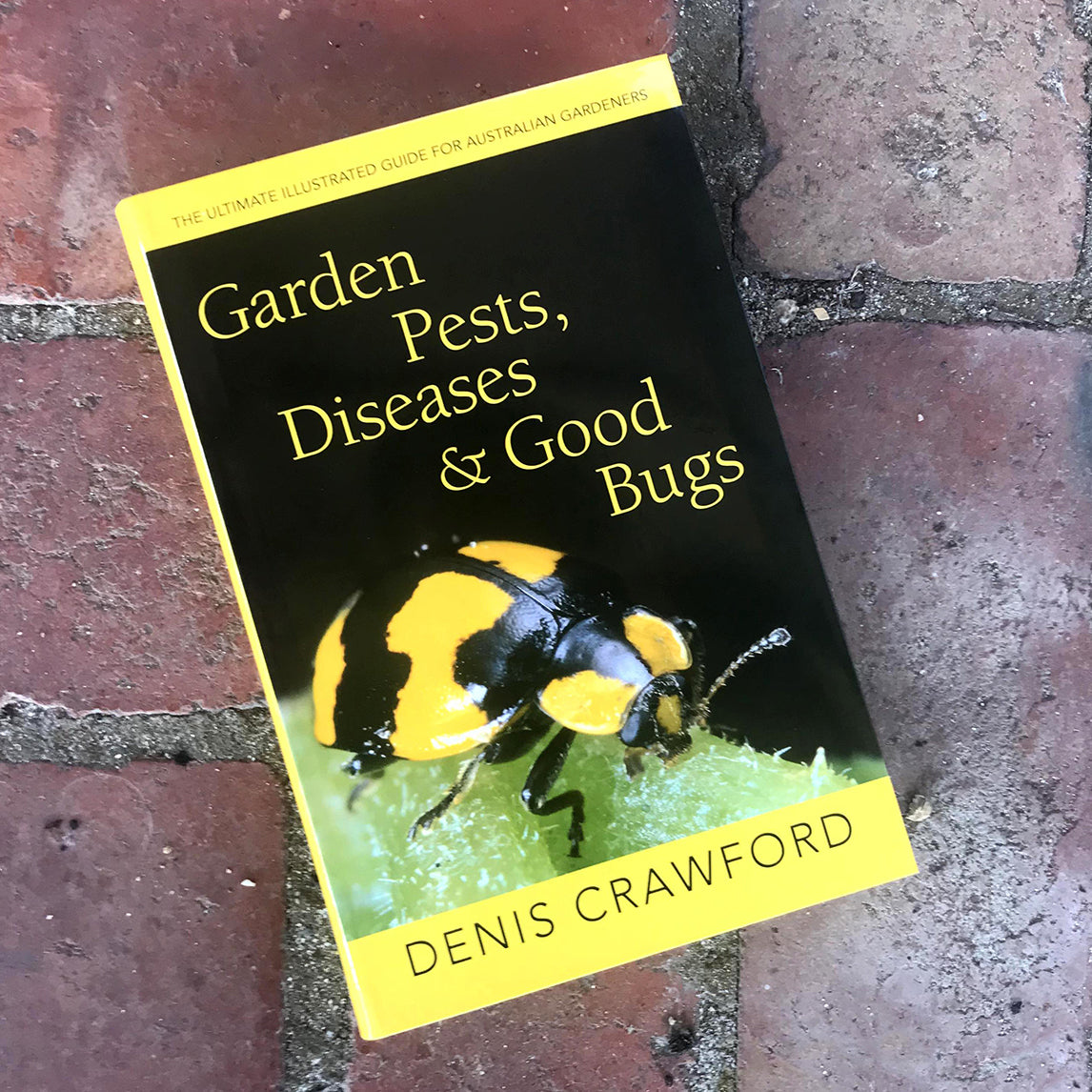 Garden Pests, Diseases And Good Bugs