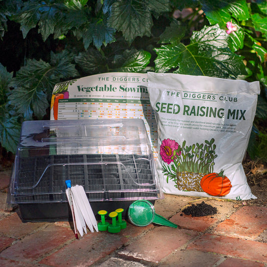 Simple Propagation Kit
