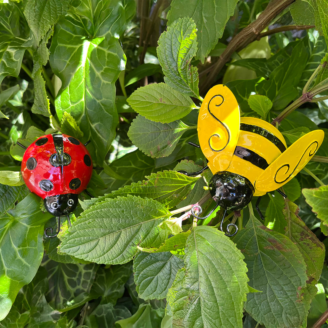 Ladybug + Bee Bundle