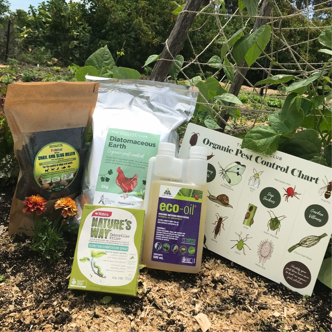 Natural Pest Protection Collection