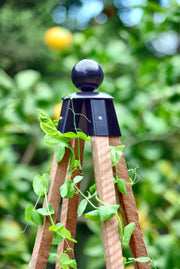 Garden Obelisk Powder Coated