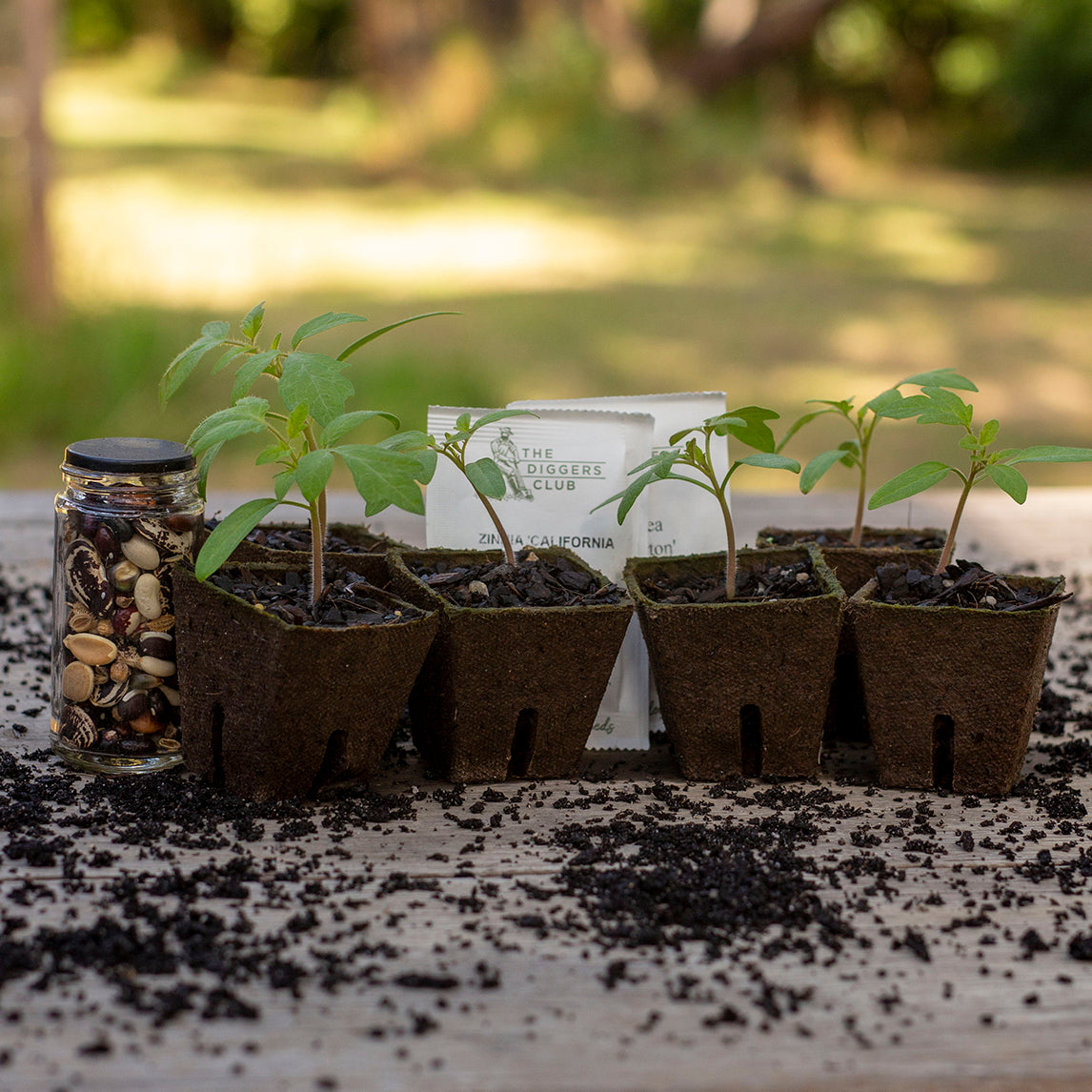 Peat Pots Small x 120