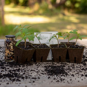 Peat Pots Small x 30