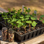 56 Cell Quick Pots (4 Pack)