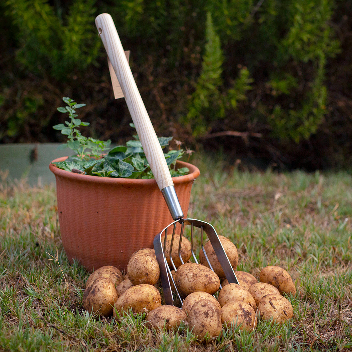 Stainless Steel Harvesting Scoop