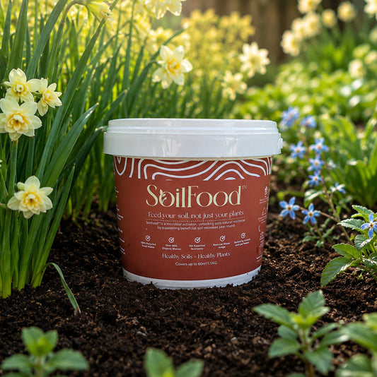 SoilFood- 1.5kg