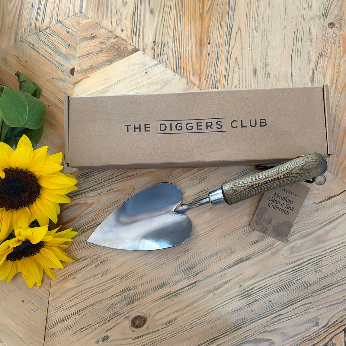 Premium Stainless Heart shaped trowel
