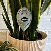 Indoor Moisture Meter - 2 Colours available