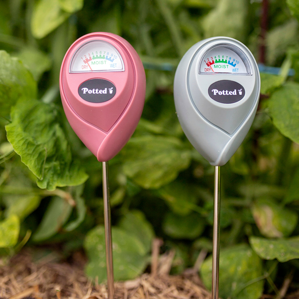 Indoor Moisture Meter