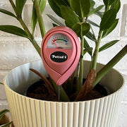 Indoor Moisture Meter - 2 Colours available