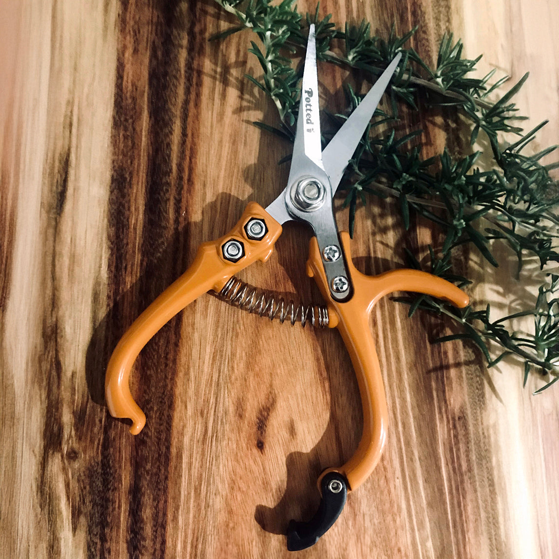 Carbon Steel Plant Snip – Orange