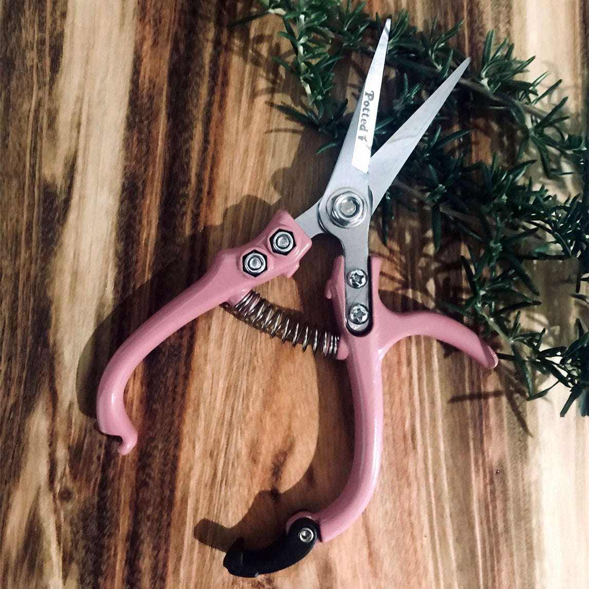 Carbon Steel Plant Snip – Pink