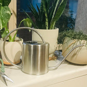 Watering Can - Stainless Steel 1.5L