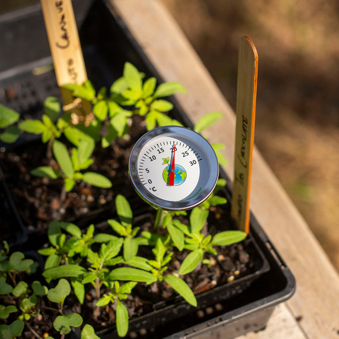 Dial Soil Thermometer