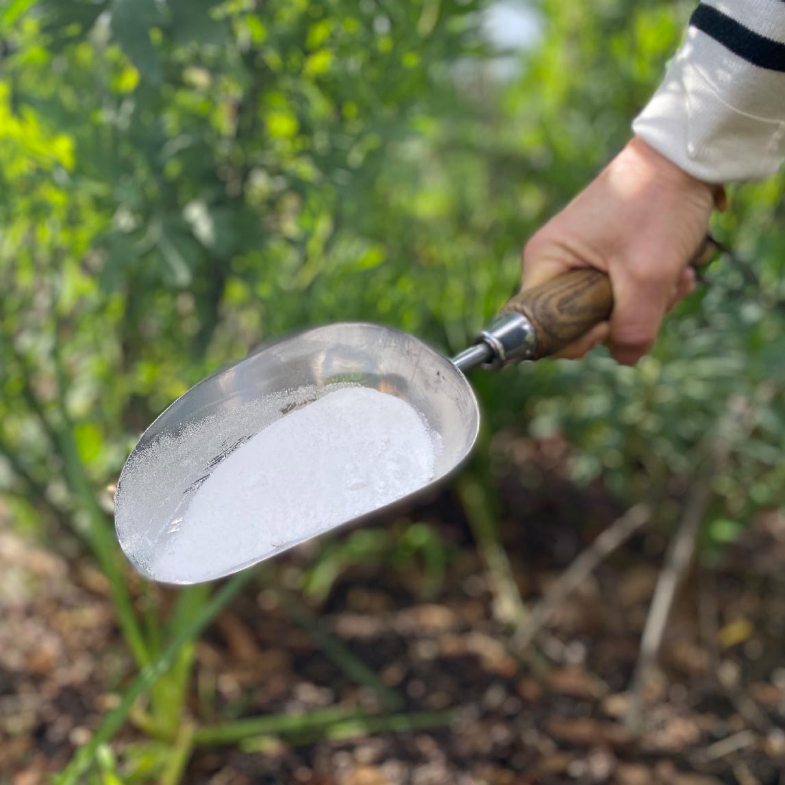 Premium Stainless Steel Hand Potting Scoop