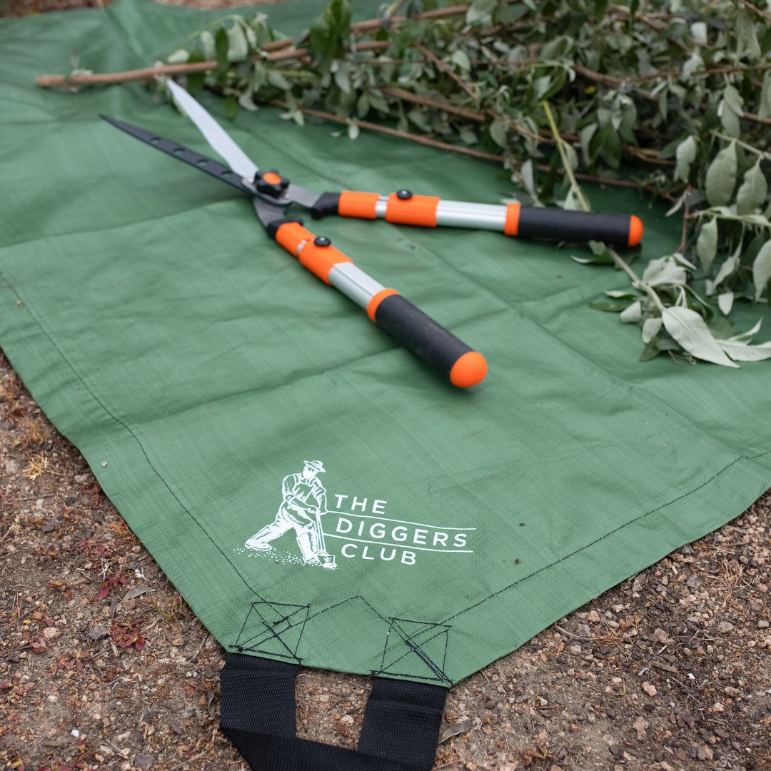 Handy Harry Tarpaulin