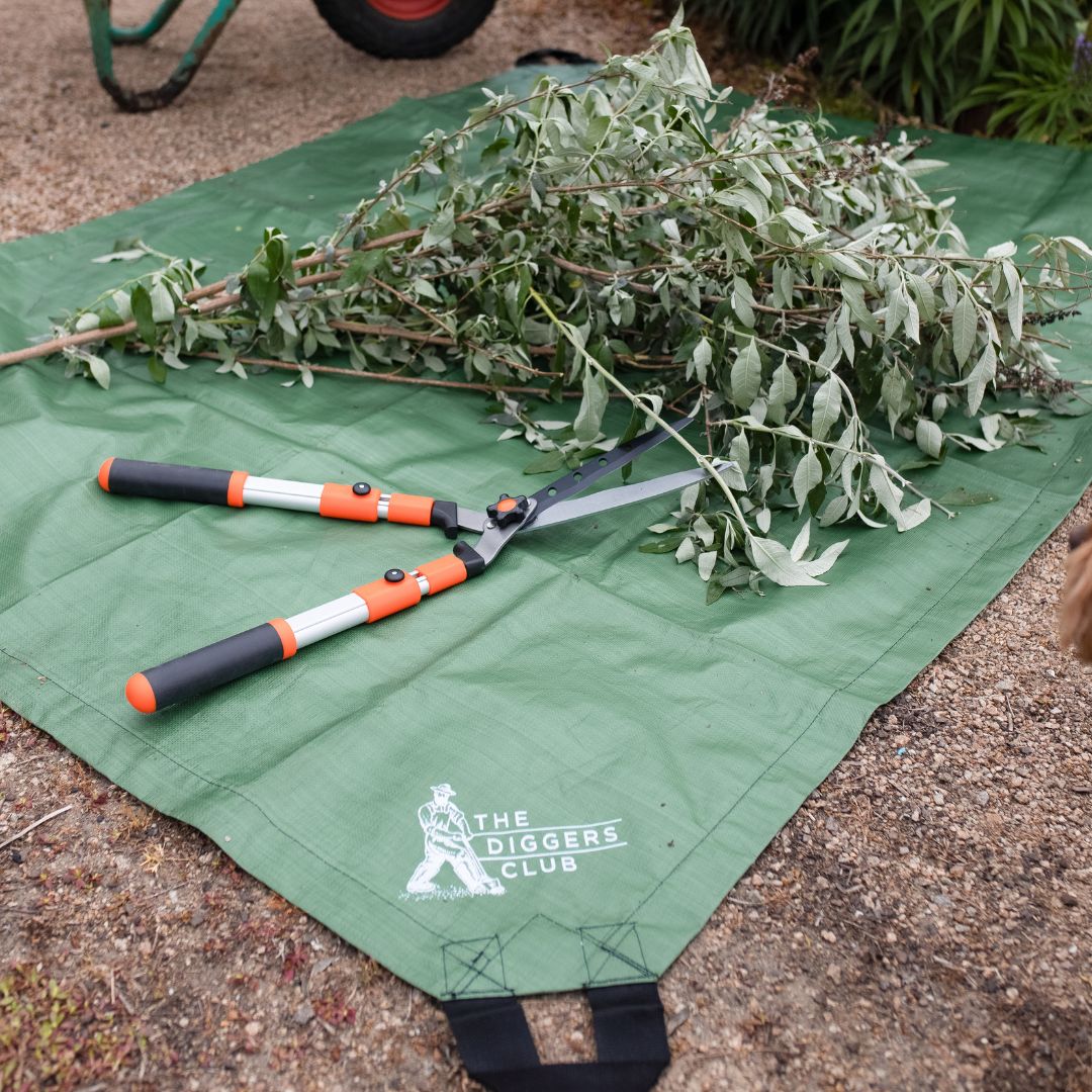 Handy Harry Tarpaulin
