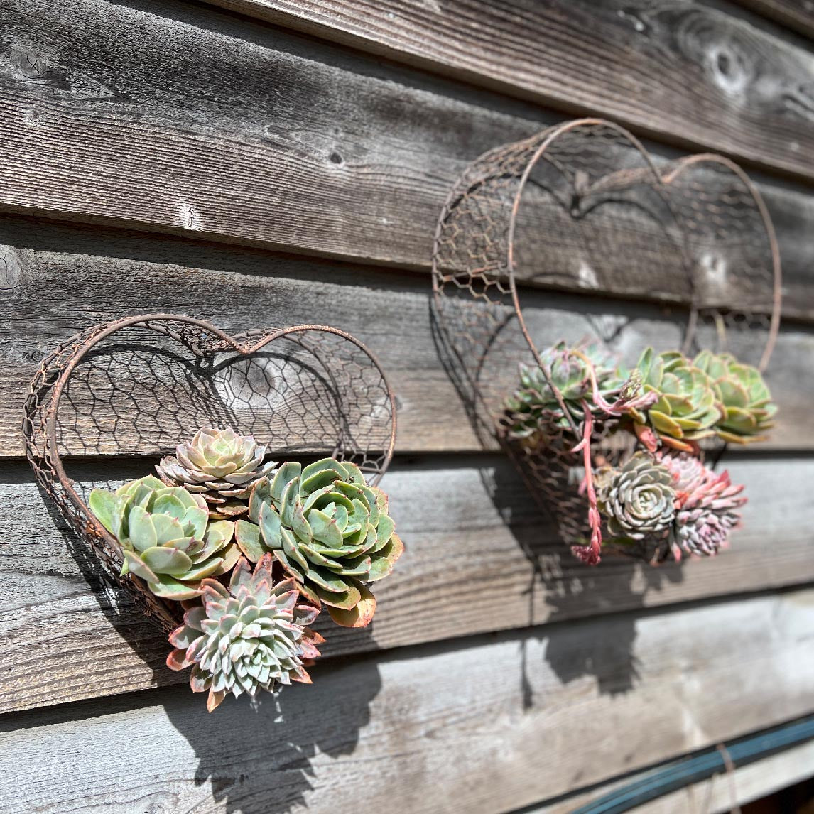 Heart Wall Basket