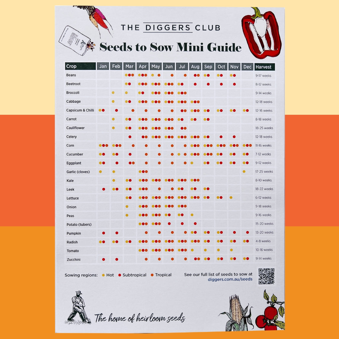 Sowing Guide - Hot/Subtropical/Tropical