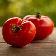 Tomato 'Jane's Uzbek'