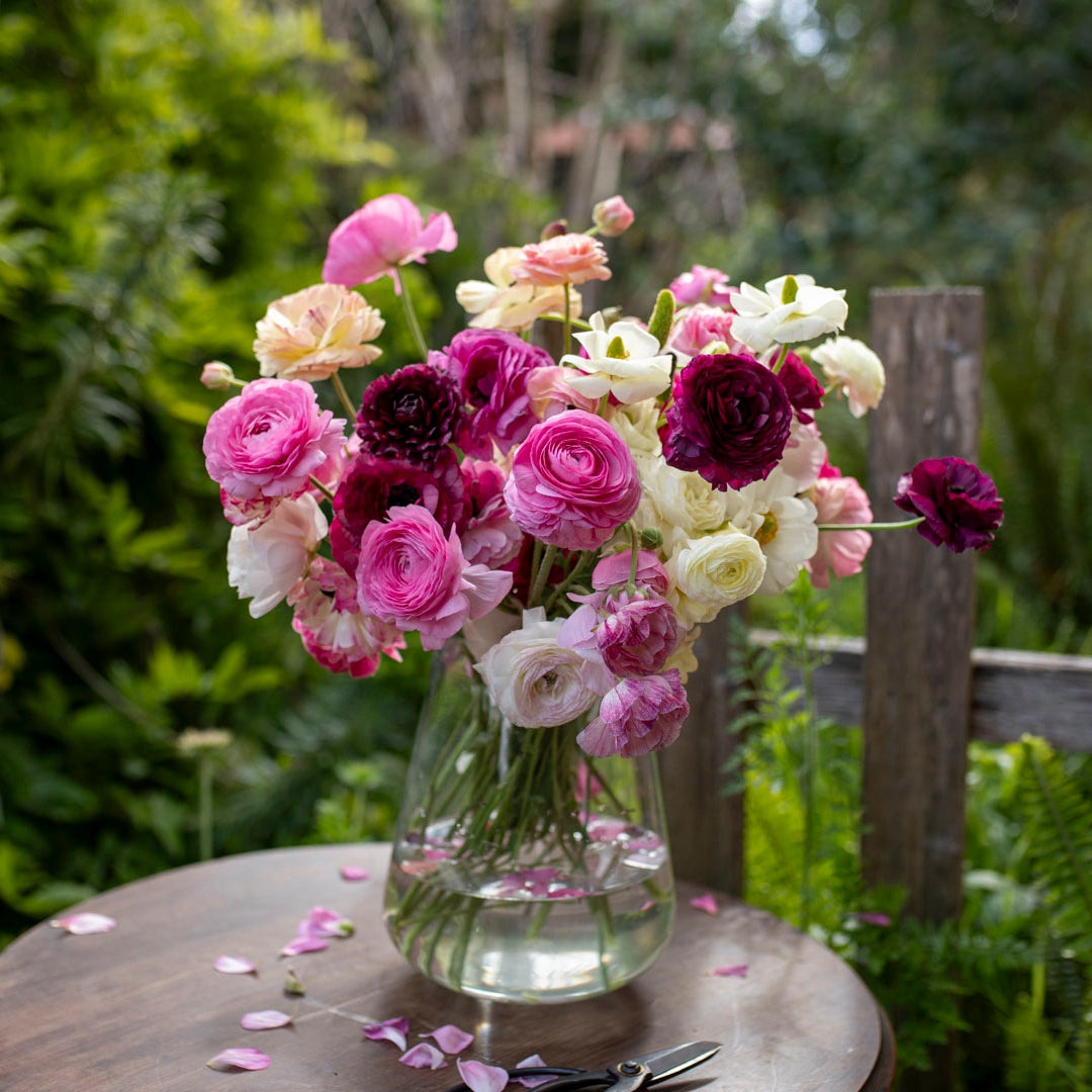 Lady Woodland Bulb Collection (120 Corms)