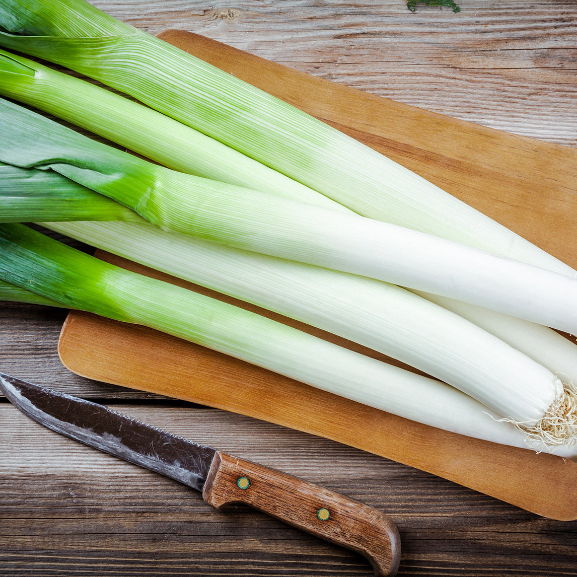 Leek 'Bulgarian Giant'