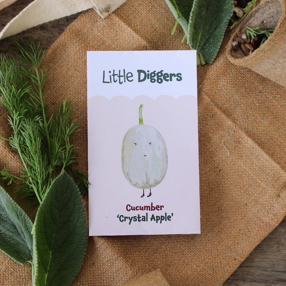 Little Diggers Cucumber &#39;Crystal Apple&#39;