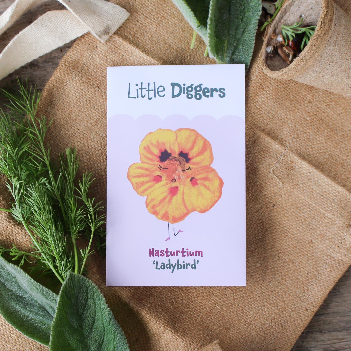 Little Diggers Nasturtium 'Ladybird'