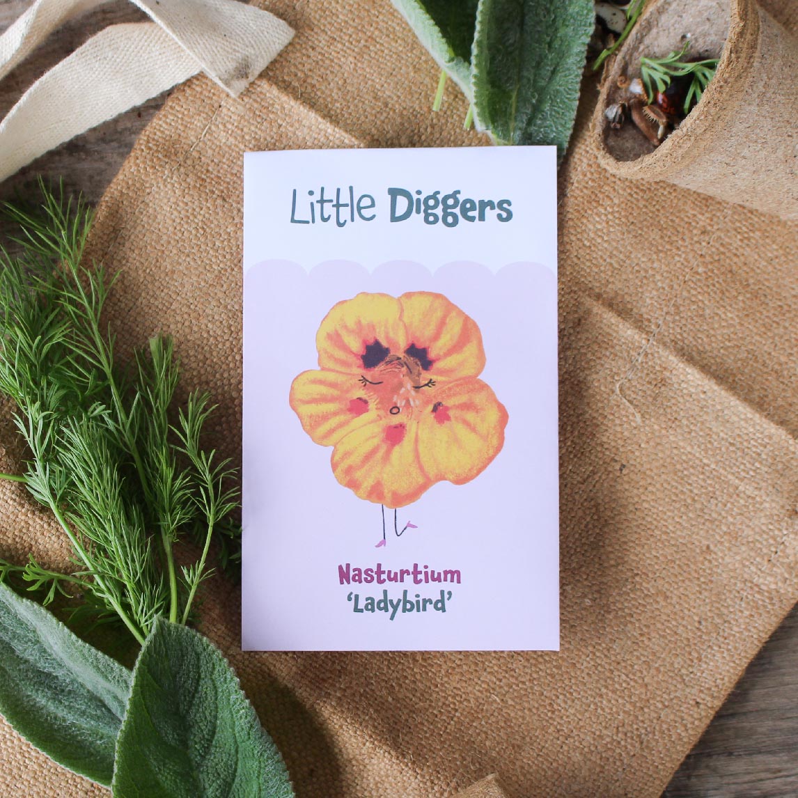 ladybird rose nasturtium seeds Little Diggers Nasturtium 'Ladybird'