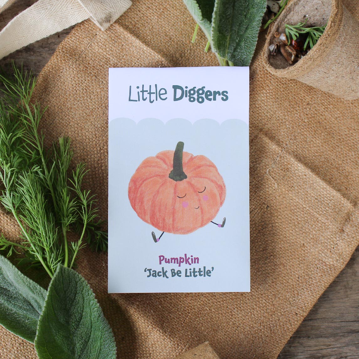Little Diggers Pumpkin 'Jack Be Little'
