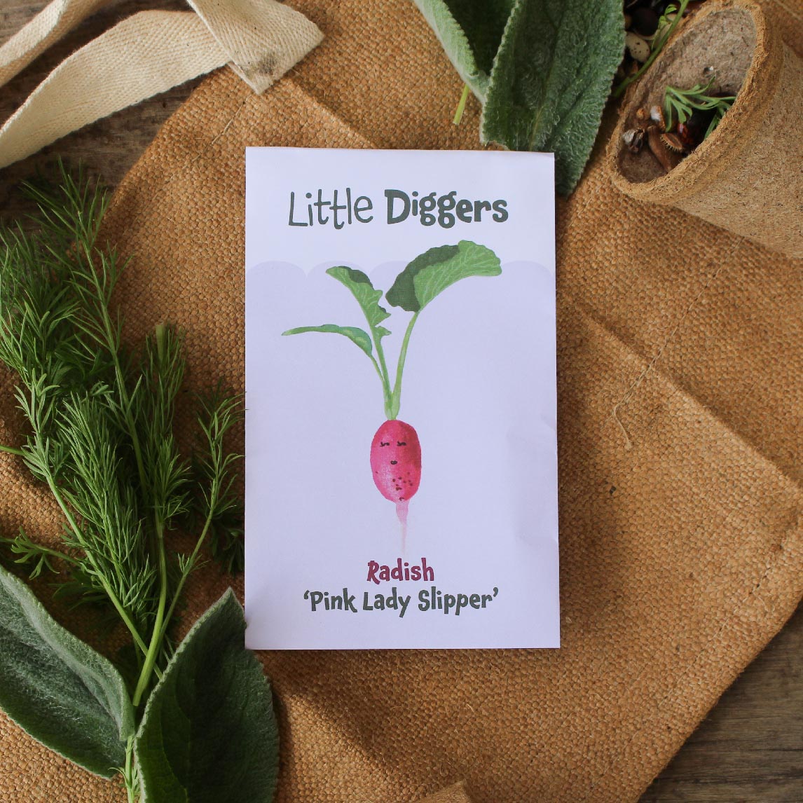 Little Diggers Radish &#39;Pink Lady Slipper&#39; (Organic)