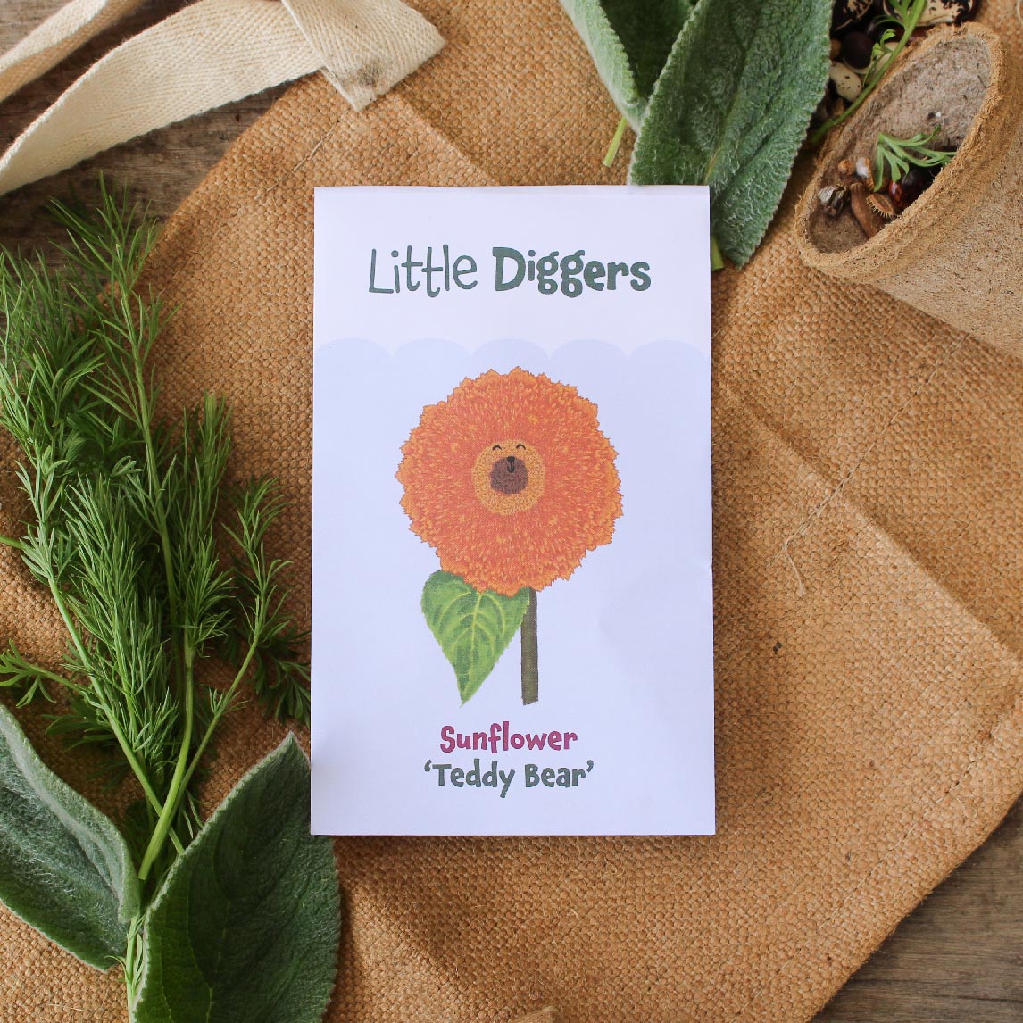 Little Diggers Sunflower 'Teddy Bear'