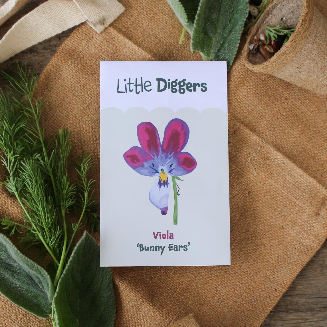 Little Diggers Viola Bunny Ears