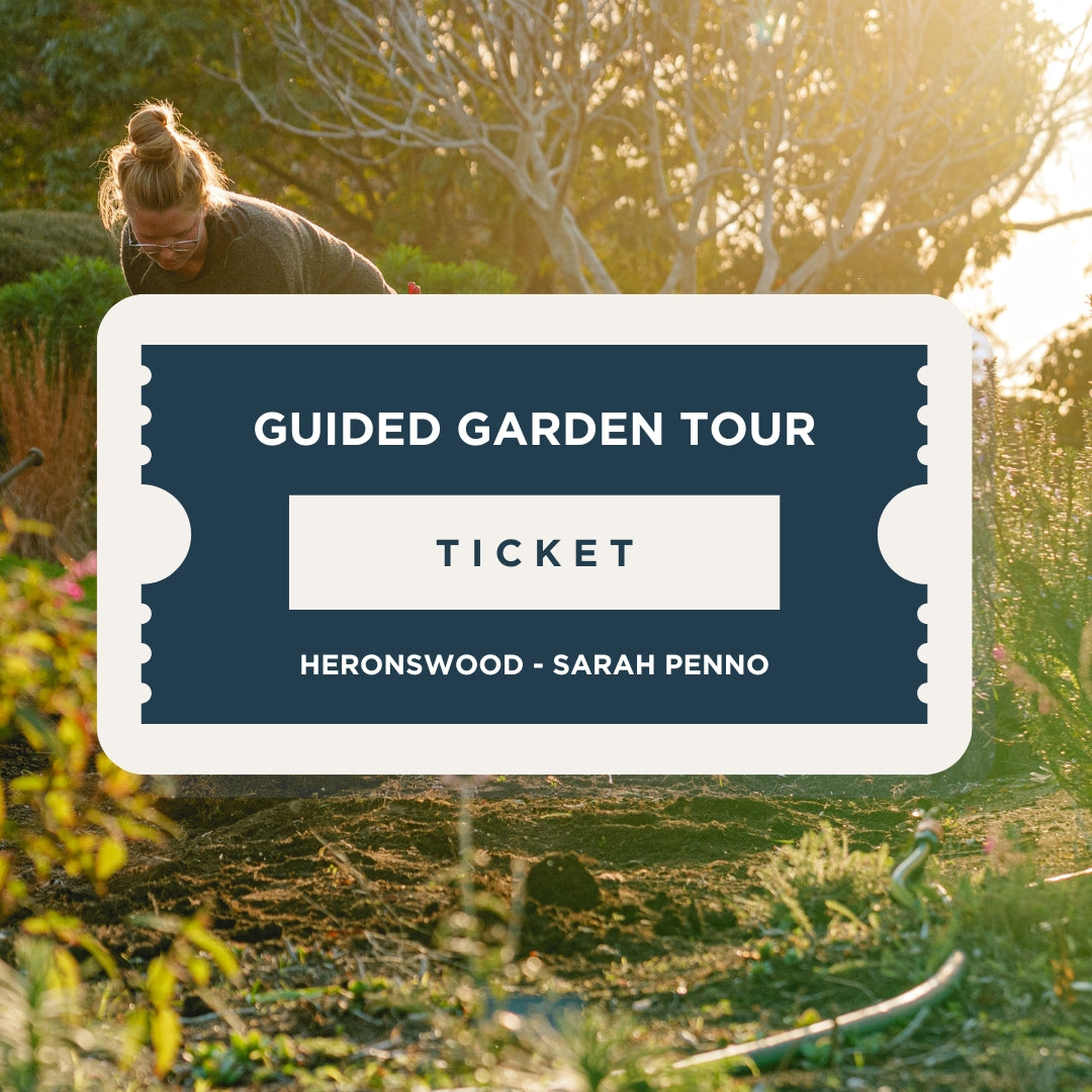 Garden Tours at Heronswood