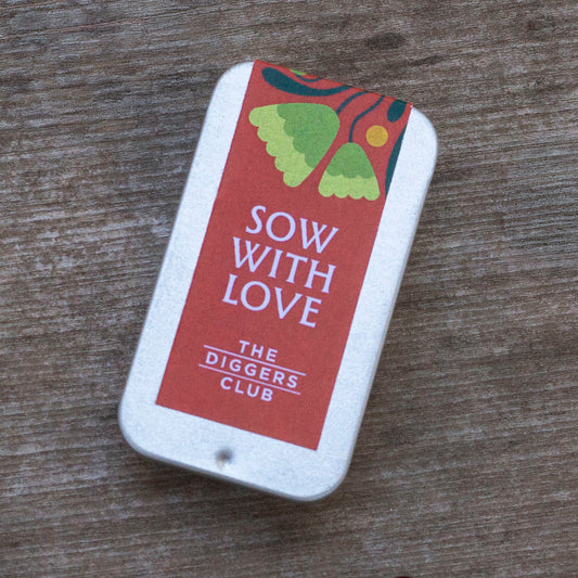 Mini Seed Tin - Summer Wildflower Mix