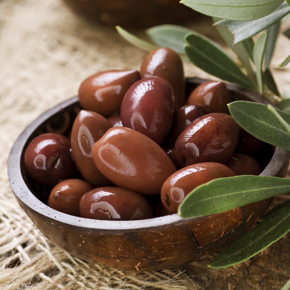 Olive 'Kalamata'