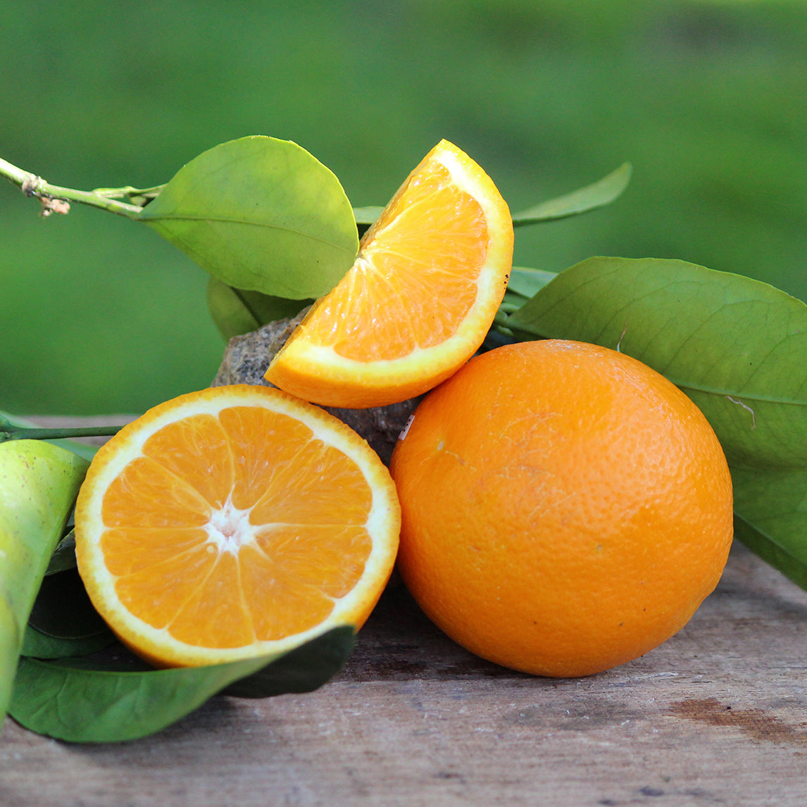 Orange 'Pineapple Sweet'