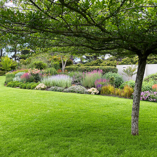 Di's Garden Collection