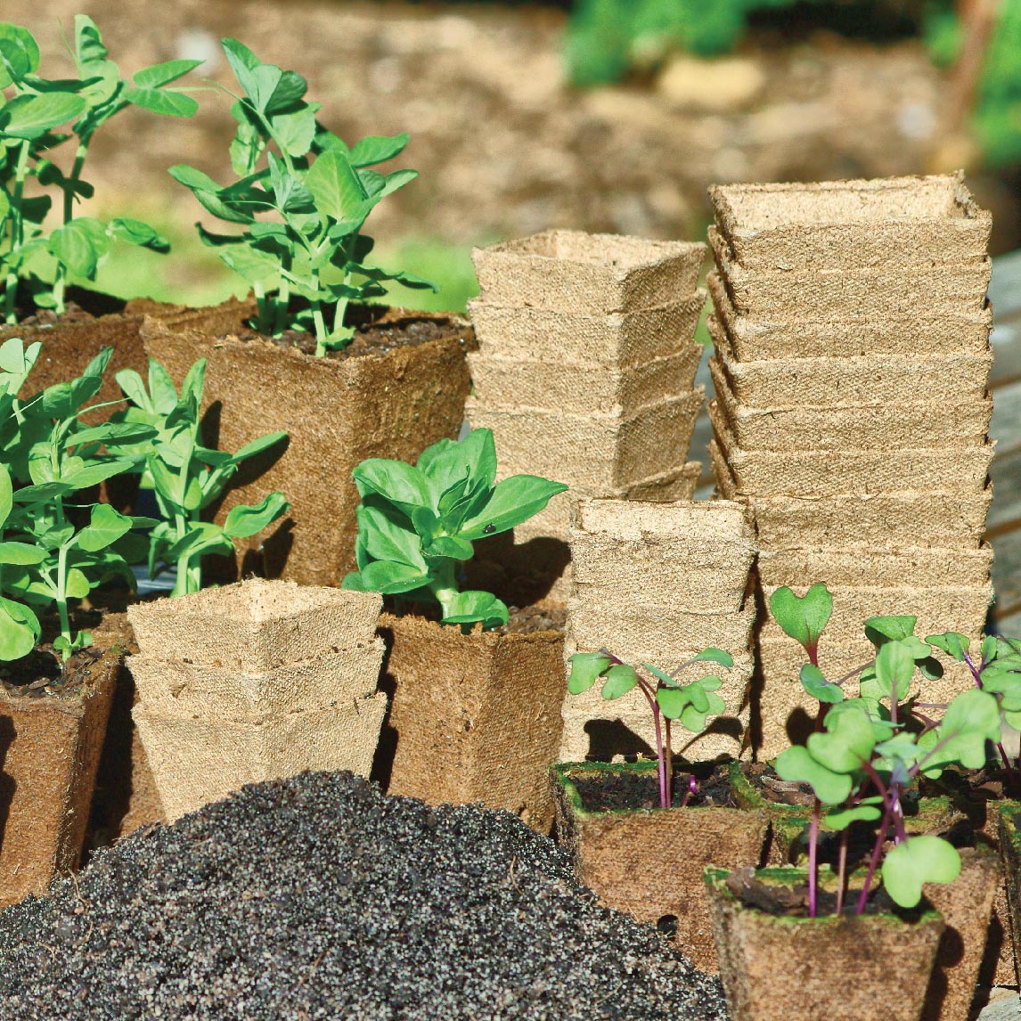 120 Small Peat Pots