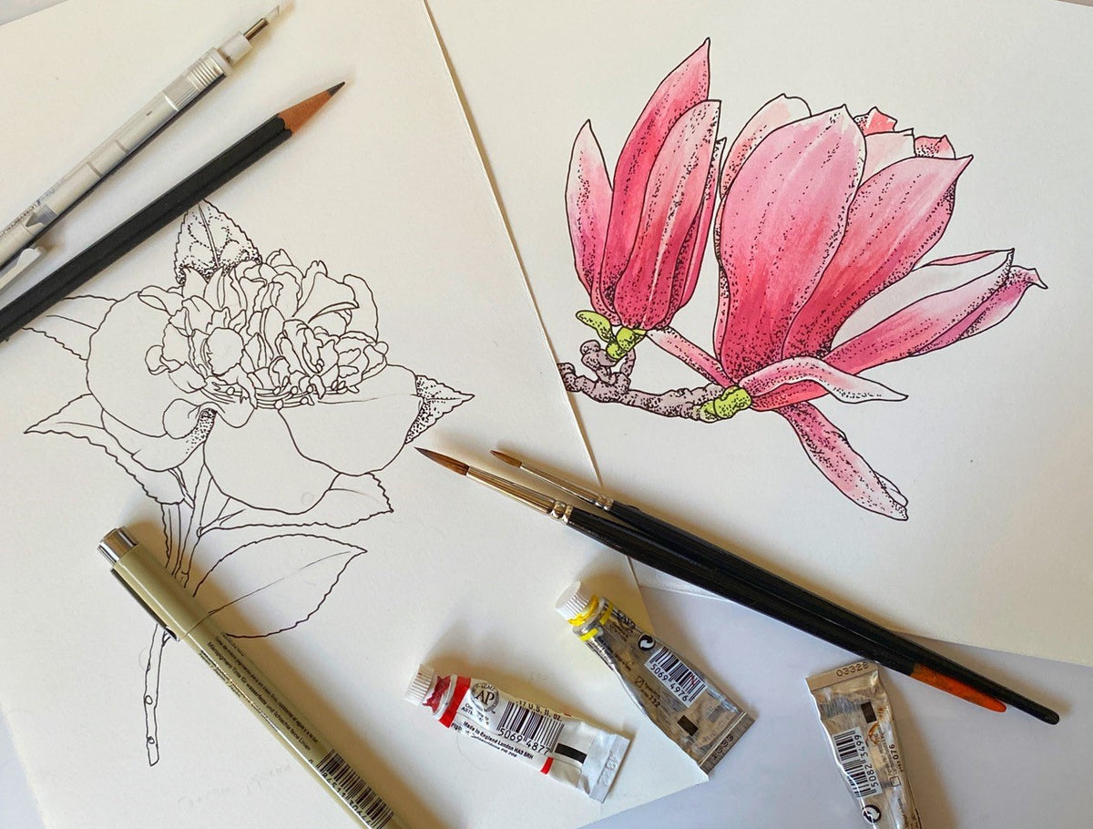 Botanical Illustration with Pen &amp; Ink Masterclass 2024