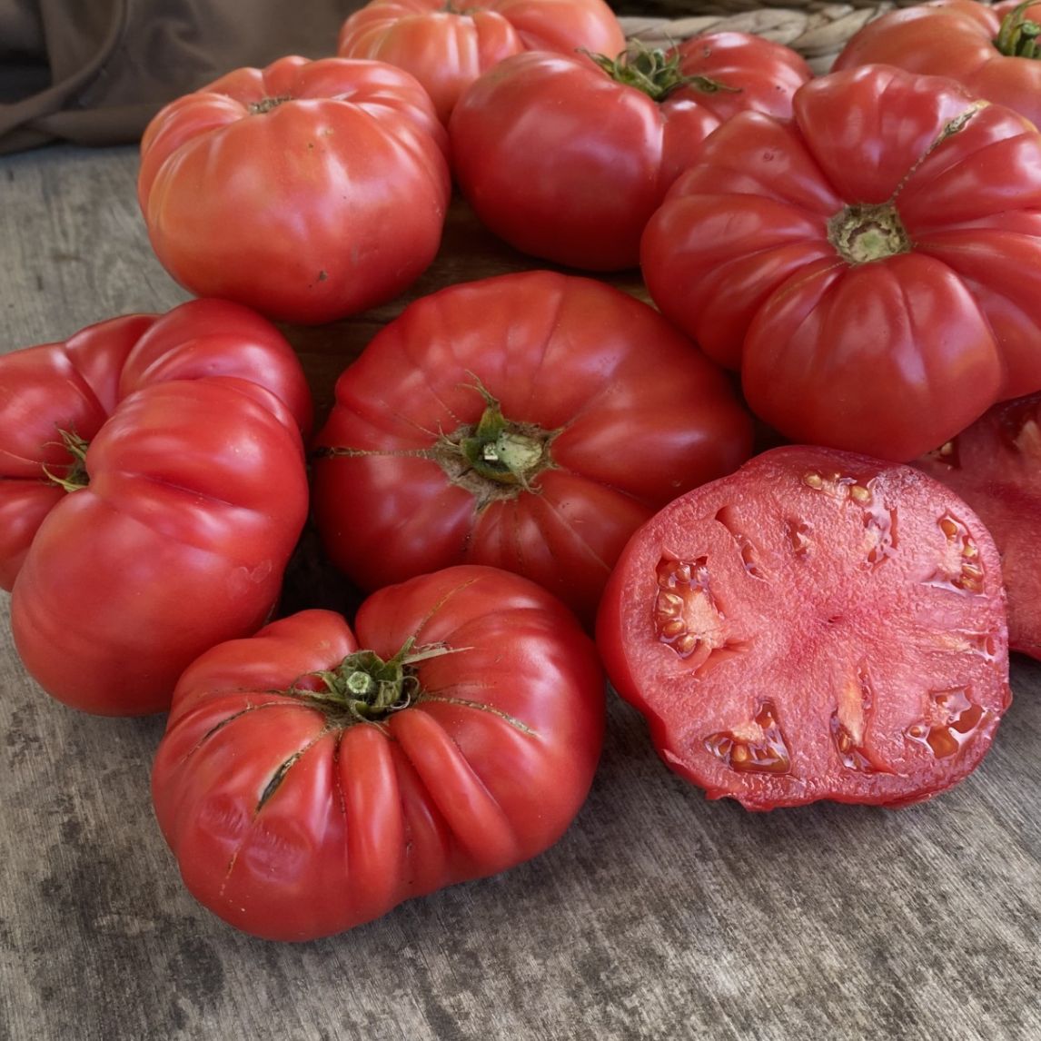 Tomato 'Pink Queen' (Organic)