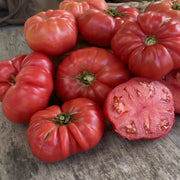 Tomato 'Pink Queen' (Organic)