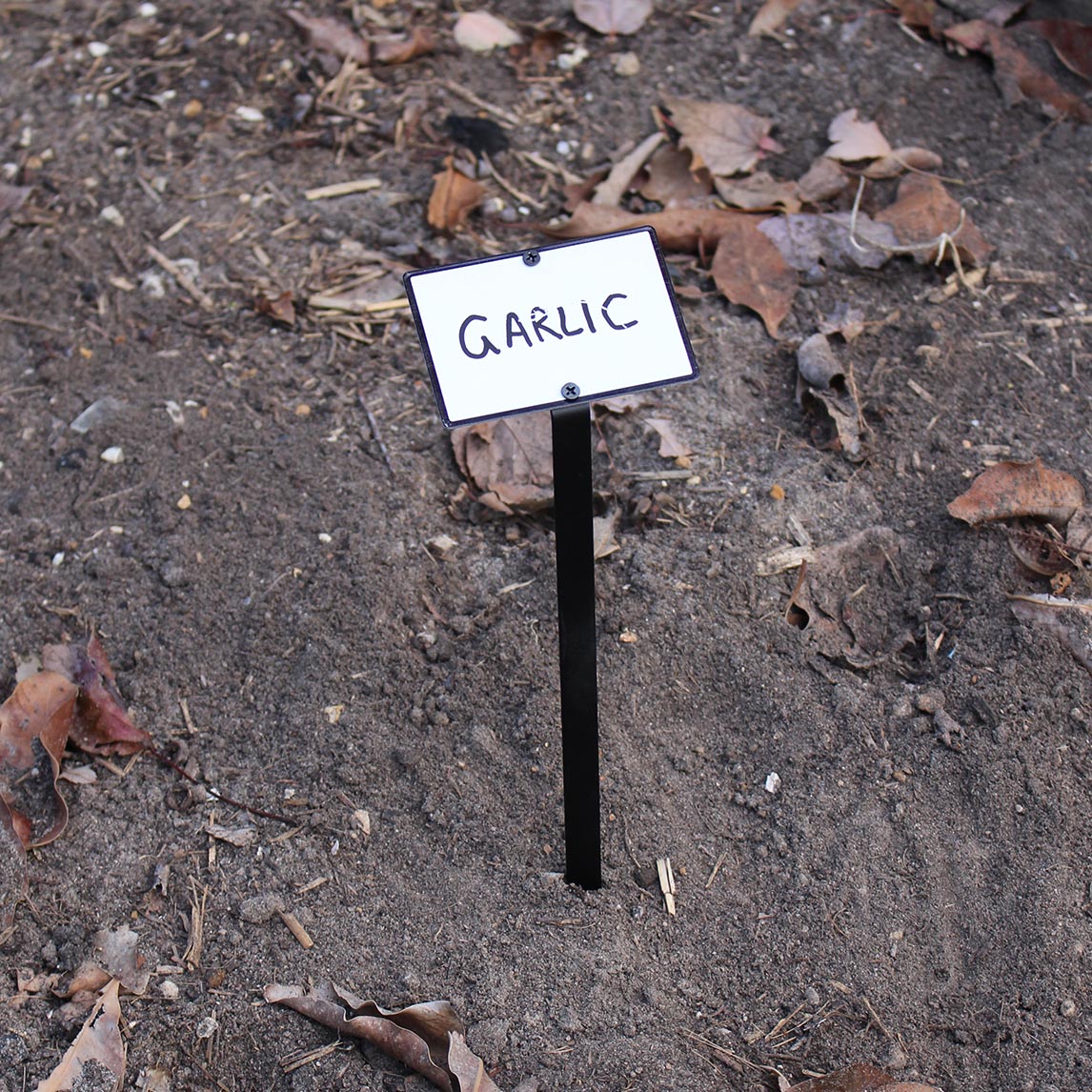 Plant Label - White
