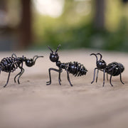 Ants Wire - set of 3