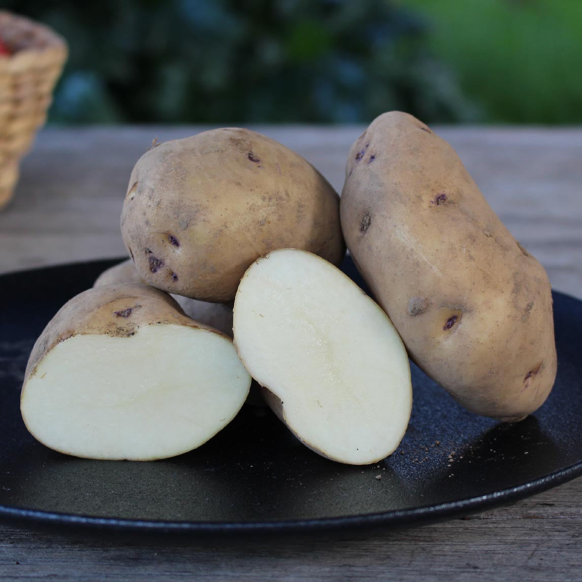 Seed Potato 'Tasmanian Bismark'