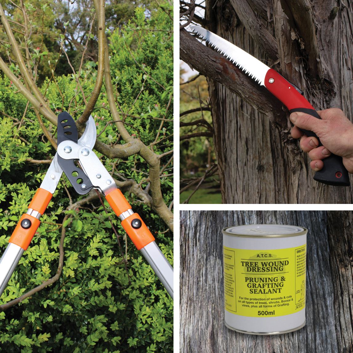 Pruning Starter Kit
